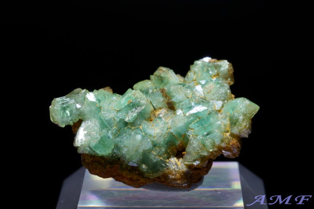 メキシコ・オハエラ鉱山産キュプリアンアダマイトの標本21