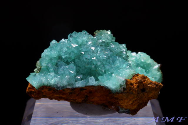 メキシコ・オハエラ鉱山産キュプリアンアダマイトの綺麗な標本11