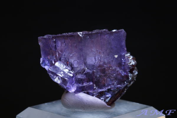 �A�����J�E�e�l�V�[�B�Y�p�[�v���t���[���C�g���Y��ȕW�{292