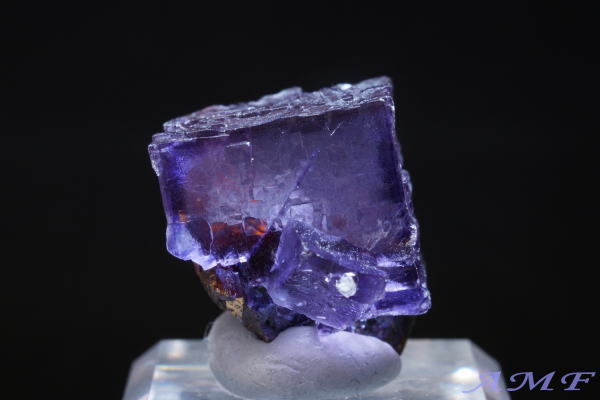 �A�����J�E�e�l�V�[�B�Y�p�[�v���t���[���C�g���Y��ȕW�{293