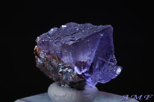 �A�����J�E�e�l�V�[�B�Y�p�[�v���t���[���C�g���Y��ȕW�{294