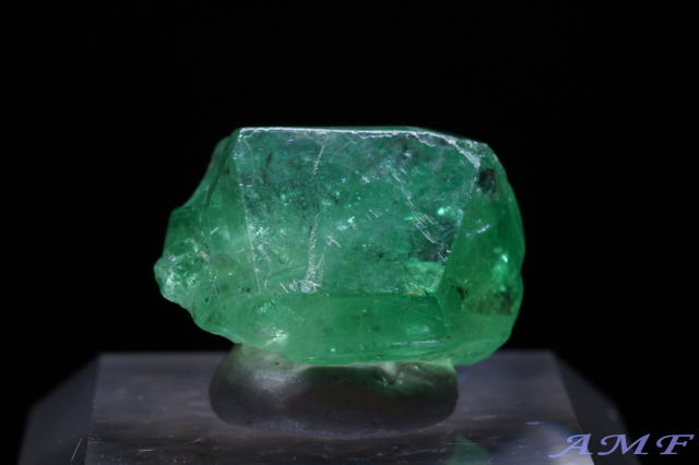 �^���U�j�A�E�������j�Y�O���[���K�[�l�b�g(�c�@�{���C�g)���Y��ȕW�{111