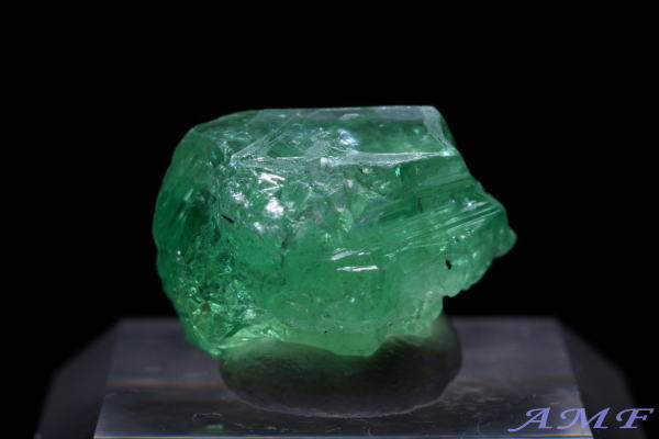 �^���U�j�A�E�������j�Y�O���[���K�[�l�b�g(�c�@�{���C�g)���Y��ȕW�{55