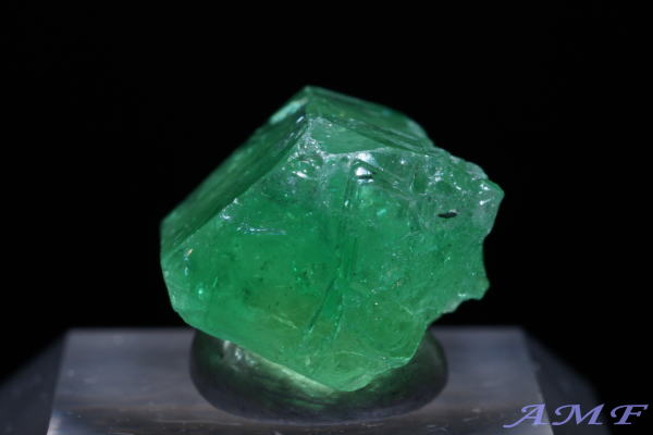 �^���U�j�A�E�������j�Y�O���[���K�[�l�b�g(�c�@�{���C�g)���Y��ȕW�{57