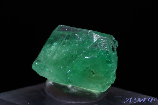 �^���U�j�A�E�������j�Y�O���[���K�[�l�b�g(�c�@�{���C�g)���Y��ȕW�{58