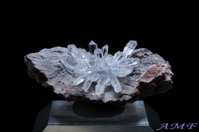 �A�����J�E���^�B�Y�t�����[�N�H�[�c���Y��ȕW�{111