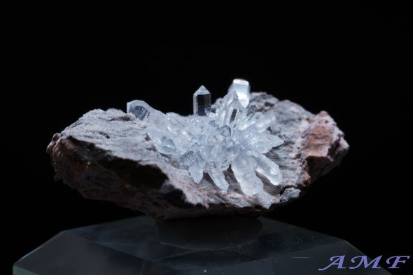 �A�����J�E���^�B�Y�������Y��ȕW�{112