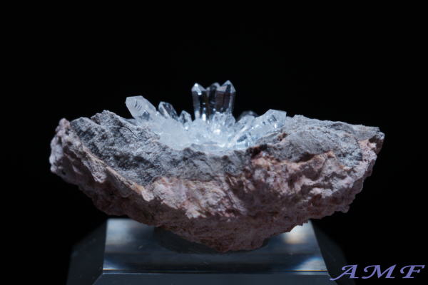 �A�����J�E���^�B�Y�������Y��ȕW�{115