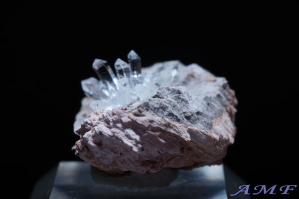 �A�����J�E���^�B�Y�������Y��ȕW�{117