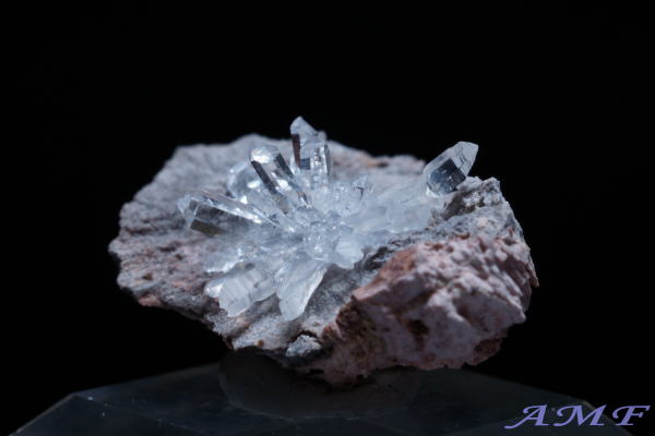 �A�����J�E���^�B�Y�������Y��ȕW�{118