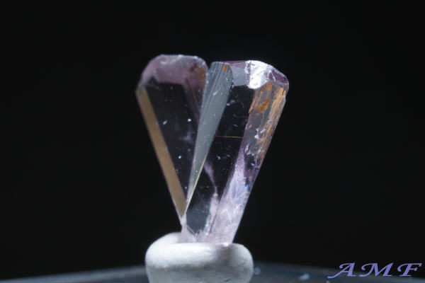 �g���R�Y�_�C�A�X�|�A�̃W�F���O���[�h�W�{24 class=