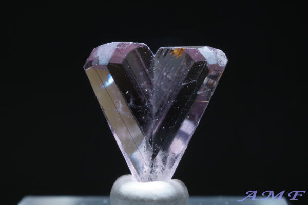 �g���R�Y�_�C�A�X�|�A�̃W�F���O���[�h�W�{25