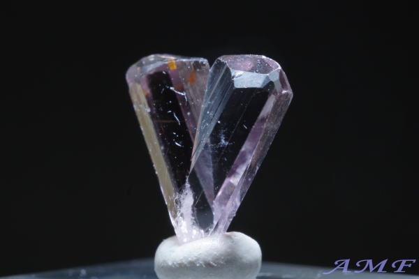 �g���R�Y�_�C�A�X�|�A�̃W�F���O���[�h�W�{28