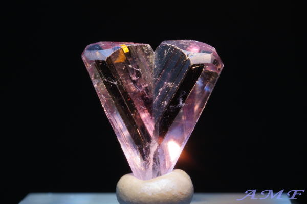 �g���R�Y�_�C�A�X�|�A�̃W�F���O���[�h�W�{29