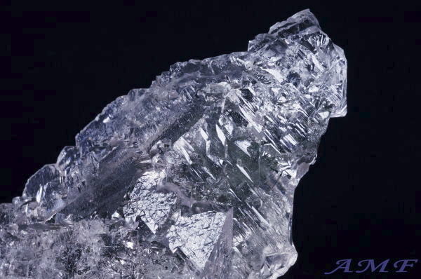 �Y��ȃp�L�X�^���E�X�J���h�D�Y�G�b�`���O�N�H�[�c74