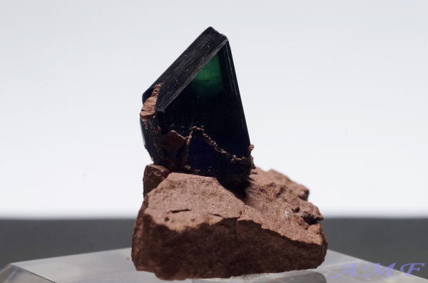 ボリビア産ビビアナイト（藍鉄鋼）の母岩付き標本2
