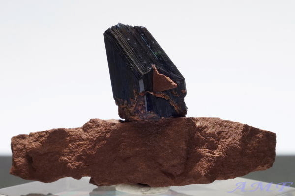 ボリビア産ビビアナイト（藍鉄鋼）の母岩付き標本4