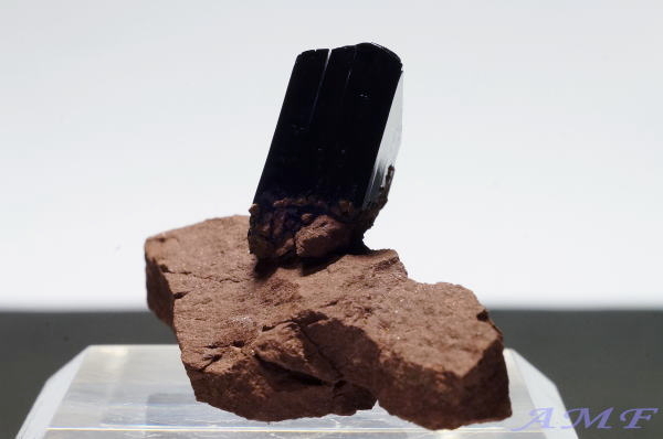 ボリビア産ビビアナイト（藍鉄鋼）の母岩付き標本7