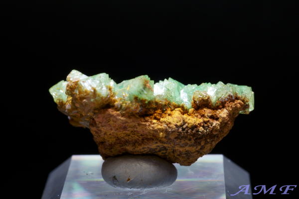 メキシコ・オハエラ鉱山産 キュプリアンアダマイトの標本23