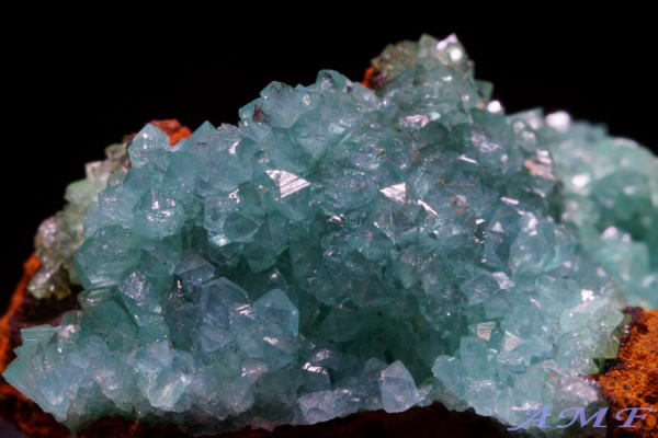 メキシコ・オハエラ鉱山産 キュプリアンアダマイトの綺麗な標本19