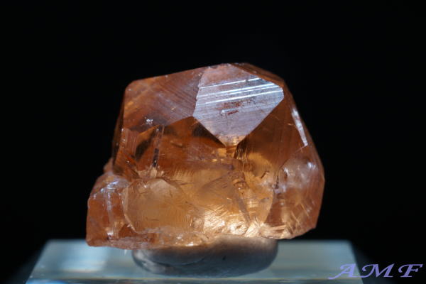 Ji_EWFt[zRYObV[K[lbgYȕW{113