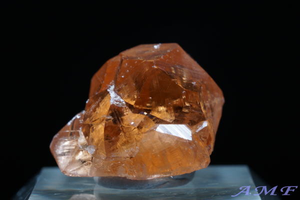 Ji_EWFt[zRYObV[K[lbgYȕW{115