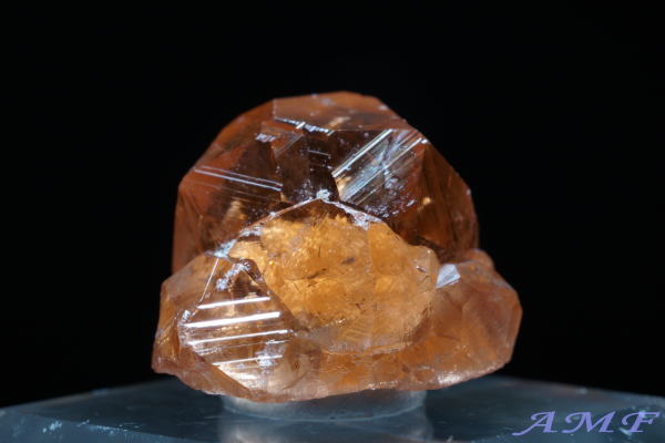 Ji_EWFt[zRYObV[K[lbgYȕW{116