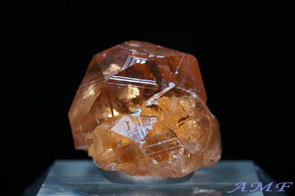 Ji_EWFt[zRYObV[K[lbgYȕW{117