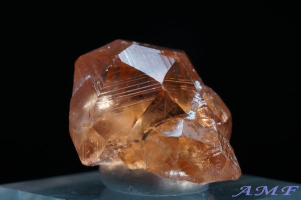 Ji_EWFt[zRYObV[K[lbgYȕW{118