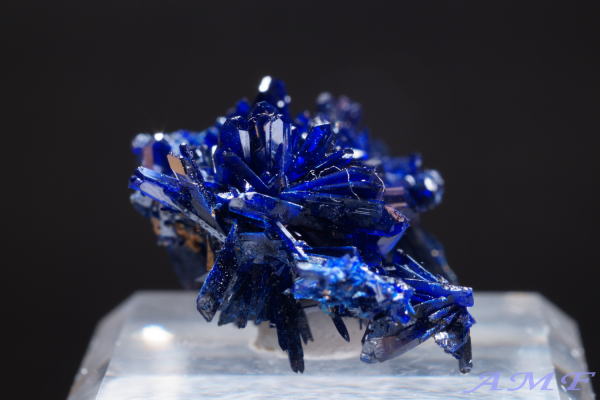 bRYj[h^CvAYCgYȕW{143