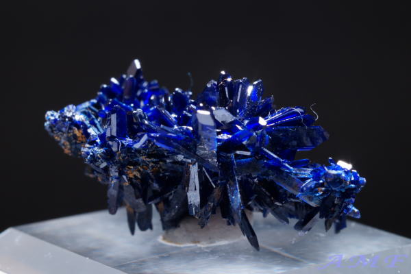 bRYj[h^CvAYCgYȕW{144