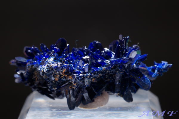 bRYj[h^CvAYCgYȕW{145