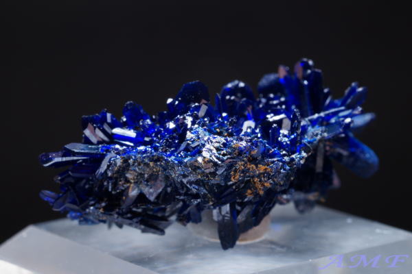 bRYj[h^CvAYCgYȕW{146