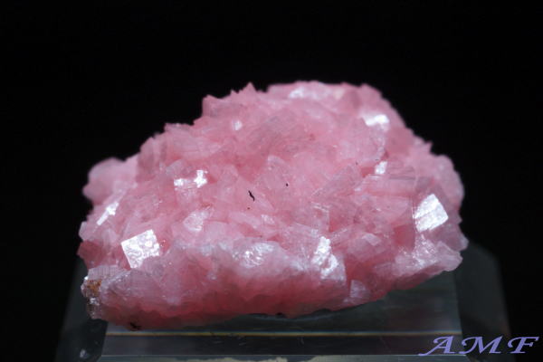 AtJEz^[Y[hNTCgYȕW{13