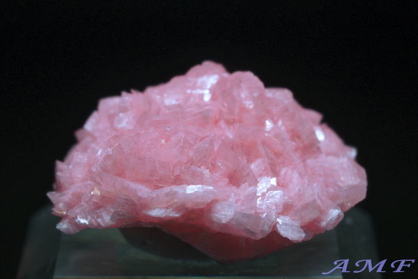 AtJEz^[Y[hNTCgYȕW{17