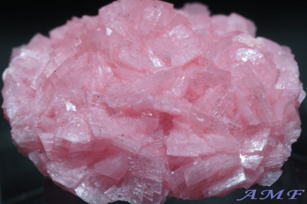 AtJEz^[Y[hNTCgYȕW{19