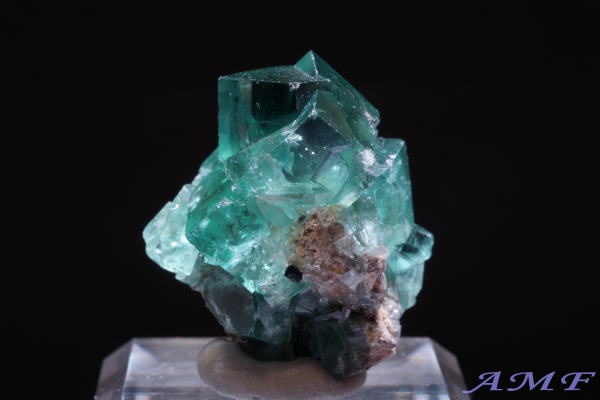 COhEW[zRYO[t[CgYȕW{113