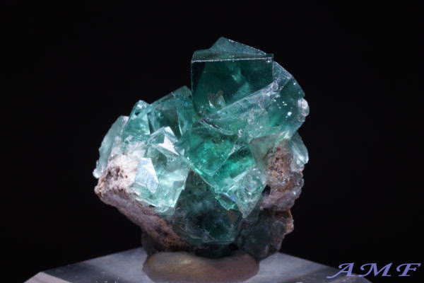 COhEW[zRYO[t[CgYȕW{114