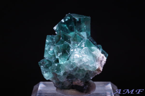 COhEW[zRYO[t[CgYȕW{117