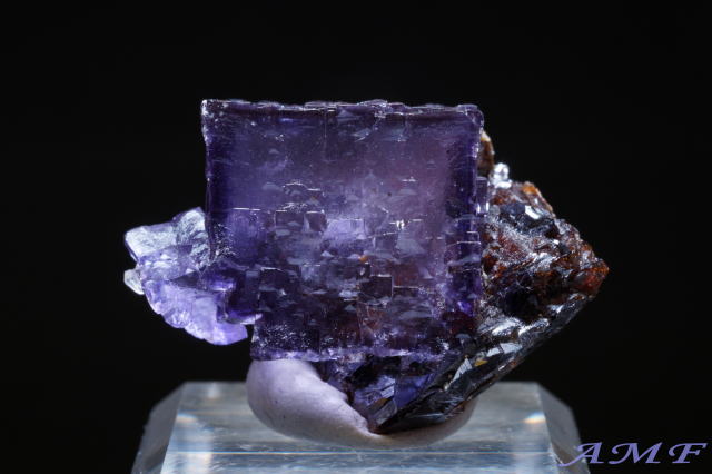 ファインミネラル｜AMFmineral