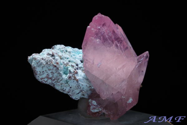 �R���S�Y�R�o���g�J���T�C�g���Y��ȕW�{12