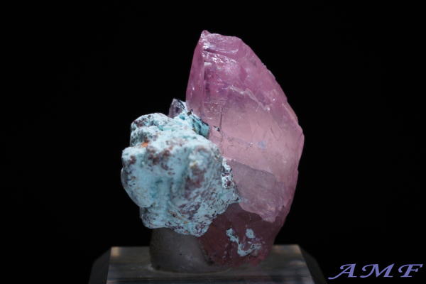 �R���S�Y�R�o���g�J���T�C�g���Y��ȕW�{13