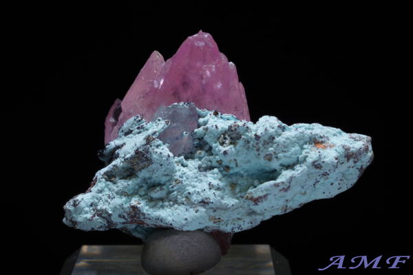 �R���S�Y�R�o���g�J���T�C�g���Y��ȕW�{15