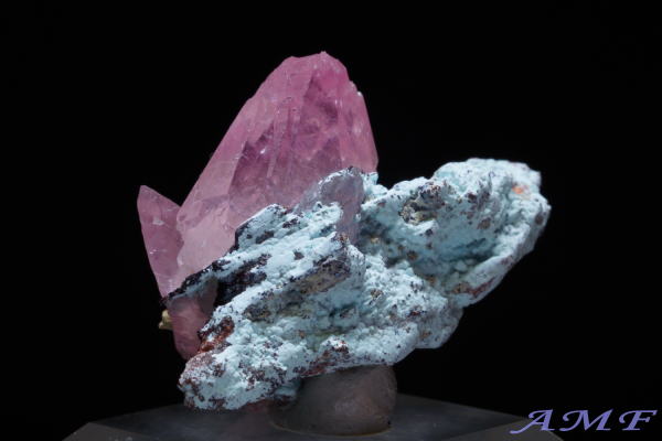 �R���S�Y�R�o���g�J���T�C�g���Y��ȕW�{16