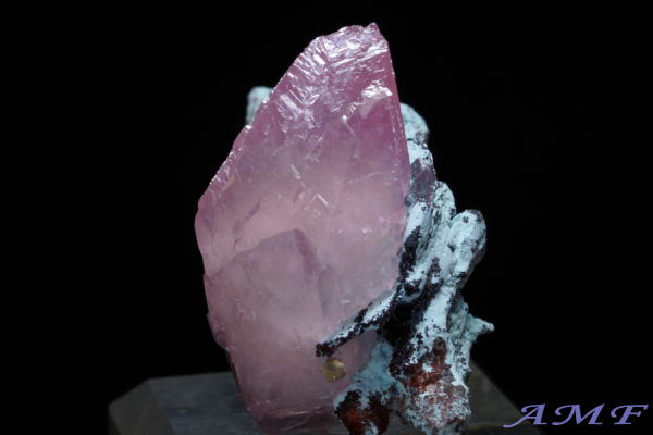 �R���S�Y�R�o���g�J���T�C�g���Y��ȕW�{111