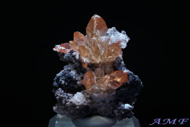 ���L�V�R�E�T�����C�X�|�g�V�B�Y�n�C�A���C�g�t���g�p�[�Y���Y��ȕW�{101"