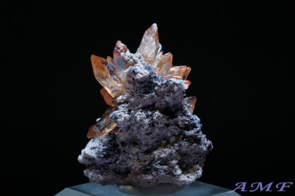 ���L�V�R�Y�n�C�A���C�g�t���g�p�[�Y���Y��ȕW�{104