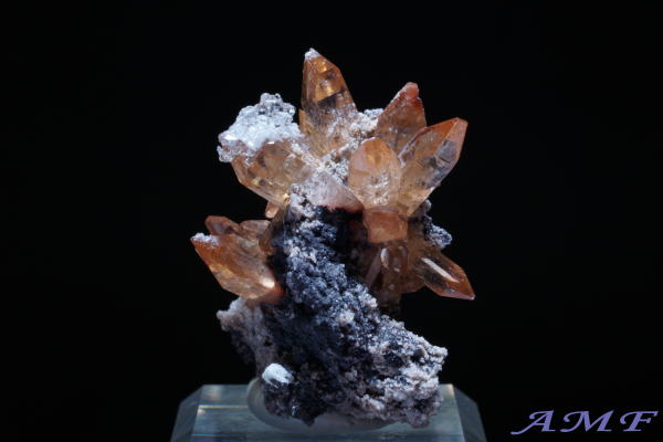 ���L�V�R�Y�n�C�A���C�g�t���g�p�[�Y���Y��ȕW�{107