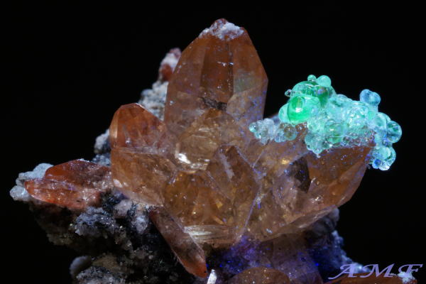 ���L�V�R�Y�n�C�A���C�g�t���g�p�[�Y���Y��ȕW�{1011