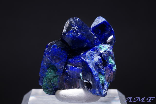 ���L�V�R�E�\�m���B�~���s���X�z�R�Y�A�Y���C�g���Y��ȕW�{101"